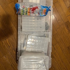 昆虫採集　飼育ケースセットの画像