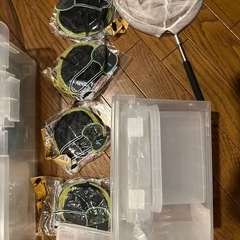 昆虫採集　飼育ケースセットの画像