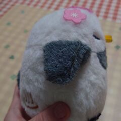 ぬいぐるみとガチャの画像