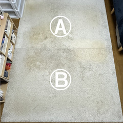 IKEA ÅDUM ラグマット 2枚セット｜無料（0円）