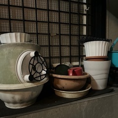 植木鉢いくつか