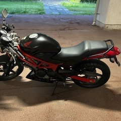 HONDA  VTR250
