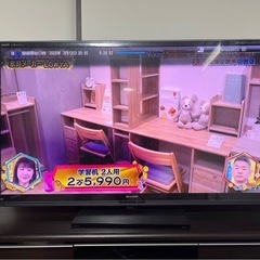 テレビ
