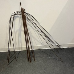 胡蝶蘭用支柱（中古）の画像