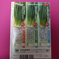 最新刊　現代農業　夏野菜完全攻略　本の画像
