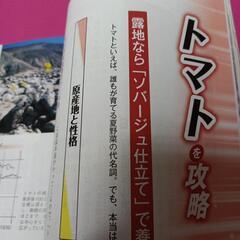 最新刊　現代農業　夏野菜完全攻略　本の画像