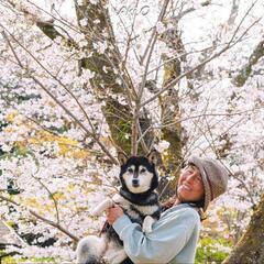 犬猫写真撮影します！