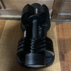 ATIVAFIT ダンベルの画像