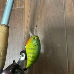バス釣り