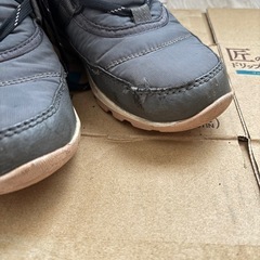 ソレル　ウィットニーショートレース　の画像