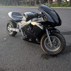 電動　ポケバイ　時速MAX40km！
