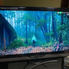 AQUOS世界の亀山モデル