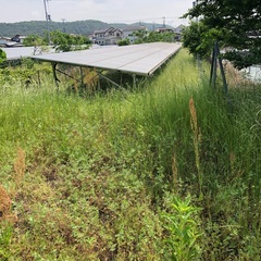 太陽光発電の草刈り激安‼️で致します