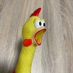 ビックリチキン　ガーの画像