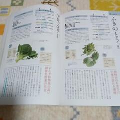 旬の野菜の栄養辞典の画像