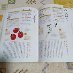 旬の野菜の栄養辞典の画像