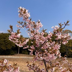 多治見市　仕事で