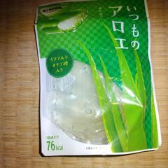 いつものアロエ
