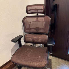 エルゴヒューマン プロ クッション座面タイプヘッドレスト付 【椅...
