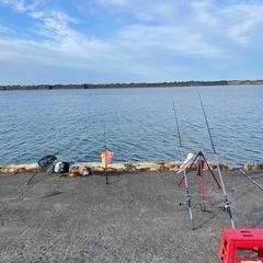 木更津沖堤　アジ　シロギス釣り