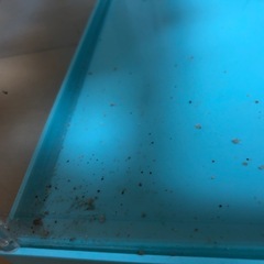 水槽とポンプの画像