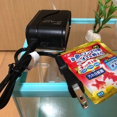 水槽とポンプの画像
