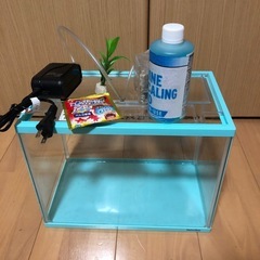 水槽とポンプ