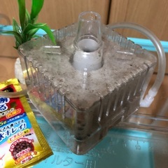 水槽とポンプの画像