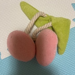 専用