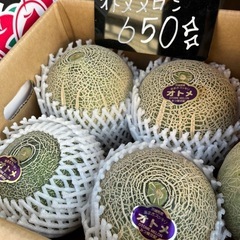 茨城県産🍈青肉の美味しいオトメメロン
