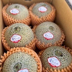 茨城県産🍈赤肉の美味しい愛ちゃんメロン