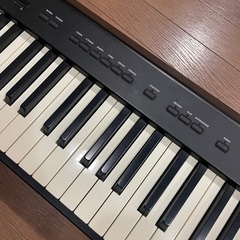 KORG SP-100