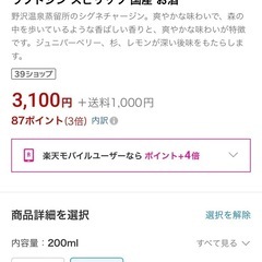 【お得!!】NOZAWA GIN200mlの画像