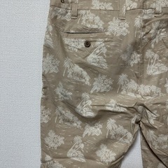 the new ivy brand pants の画像