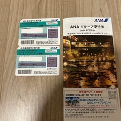 ANAグループ　株主優待券