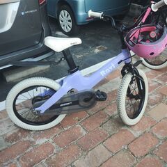 Eizer Ravi Children's Bike (16inch)