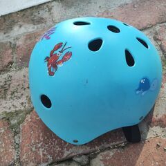 Eizer Ravi Children's Bike (16inch)の画像