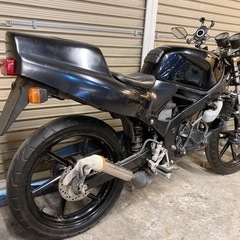 ホンダ　NS-1 配送可能　支払いは現金or振り込みも可能 ホンダ NS-1 ネイキッド仕様 配送可能 支払いは現金or振り込みも可能