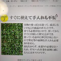 グリーンフェンス【購入価格６千円】の画像