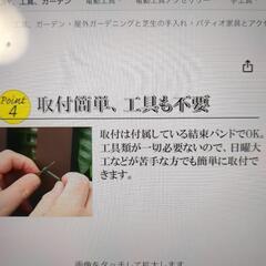 グリーンフェンス【購入価格６千円】の画像
