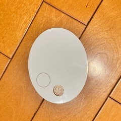 はらぺこあおむし🐛セット売り❣️バラも値下げ⭕️の画像