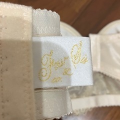 【美品】ブライダルインナーの画像