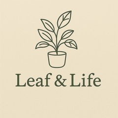 いらなくなった観葉植物、引き取らせてください