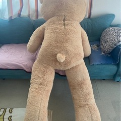 くまのぬいぐるみの画像