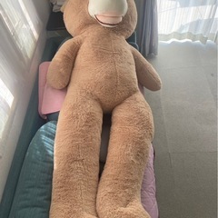 くまのぬいぐるみの画像