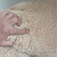 くまのぬいぐるみの画像