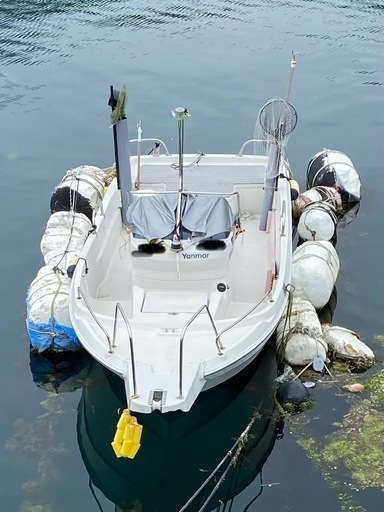 ヤンマー ドライブ船 20ft GARMIN魚探付き