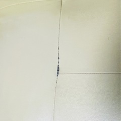 リクライニングソファの画像