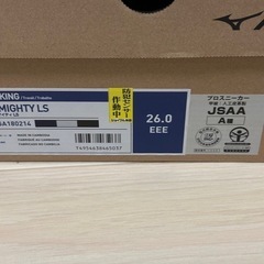 新品未使用品　タグ付き　ミズノ　安全靴26㎝の画像