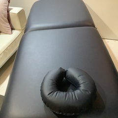 マッサージベッド Earthlite Harmony2